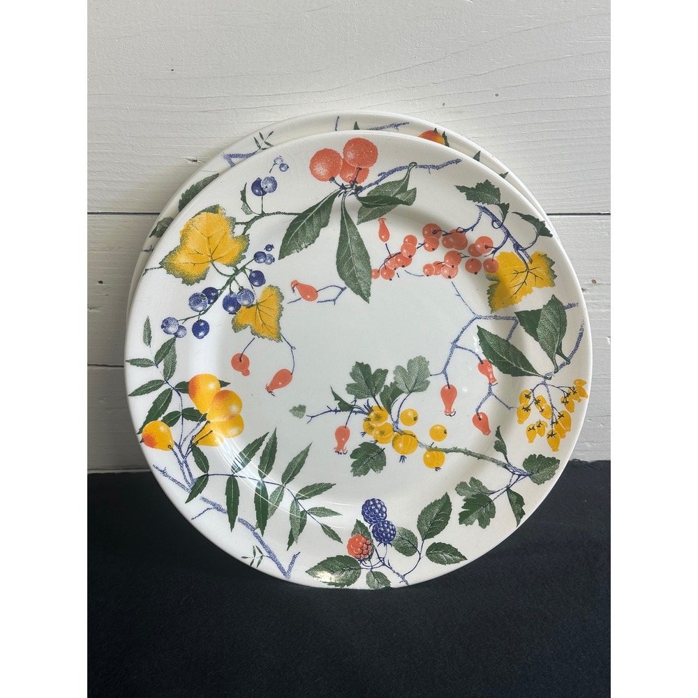 Crate & Barrel Italy Berry Botanical Dinner Plates Set of 2 White Ceramic 10.75"